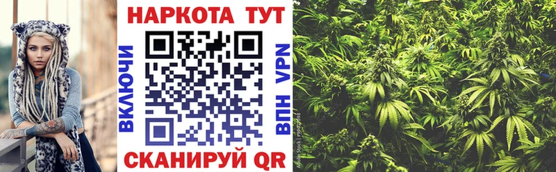 Где купить Велиж СК  Бошки Шишки  МЕФ  Гашиш 
