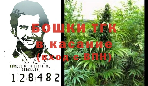 ПСИЛОЦИБИНОВЫЕ ГРИБЫ Белокуриха