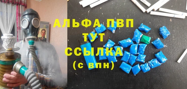гашик Бородино