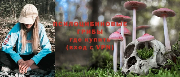 ALPHA-PVP Верея