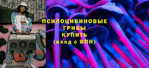 СК Апатиты