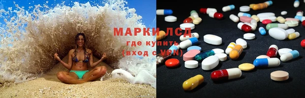 гашик Бородино