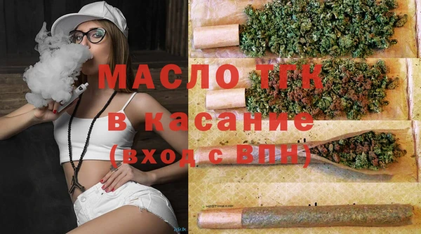 гашик Бородино