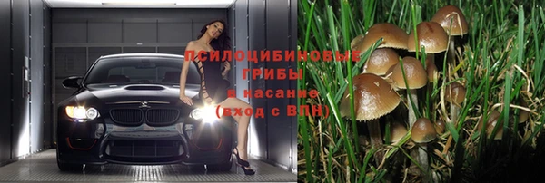 гашик Бородино