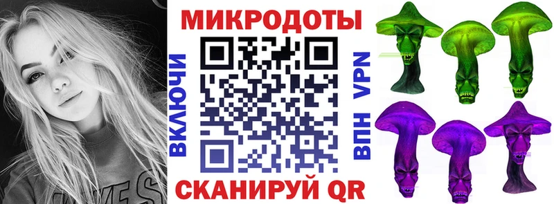 Псилоцибиновые грибы Cubensis Велиж